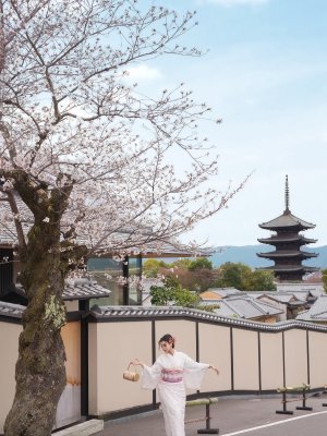 京都・桜ロケーション撮影