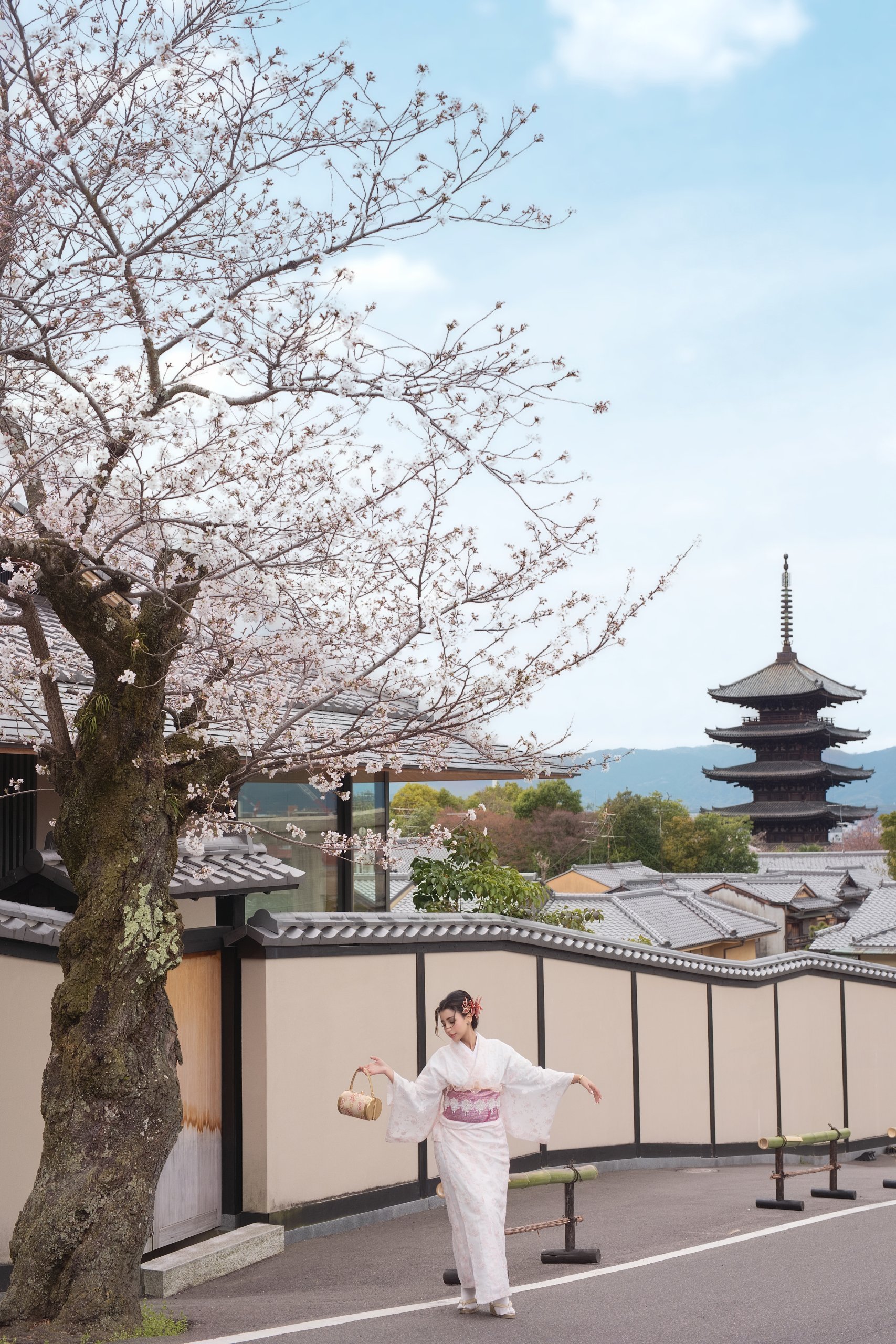 京都・桜ロケーション撮影