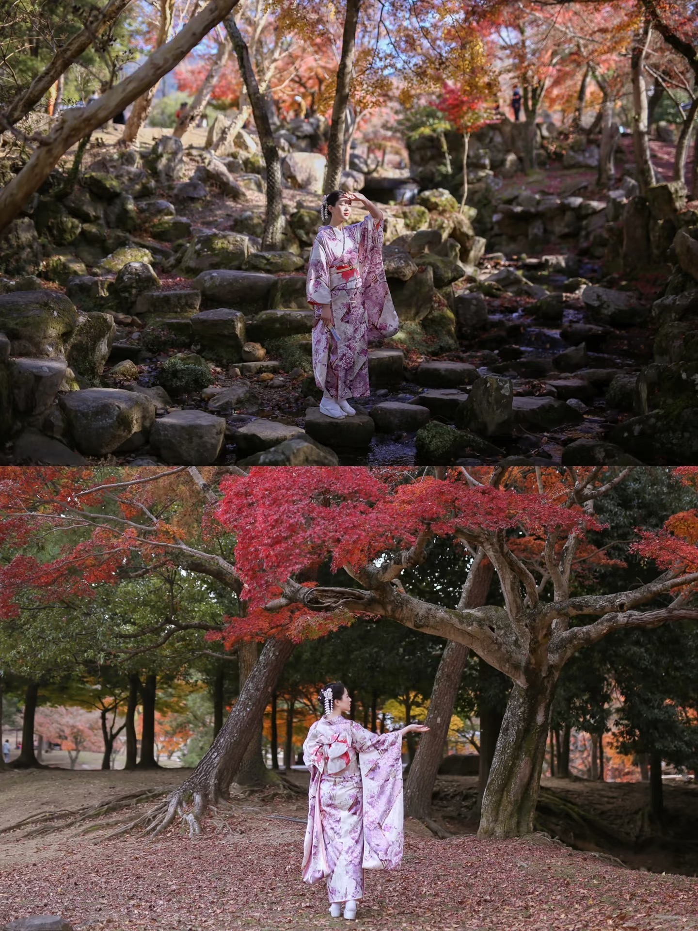 東京の秋の紅葉を背景にした着物ロケーション撮影