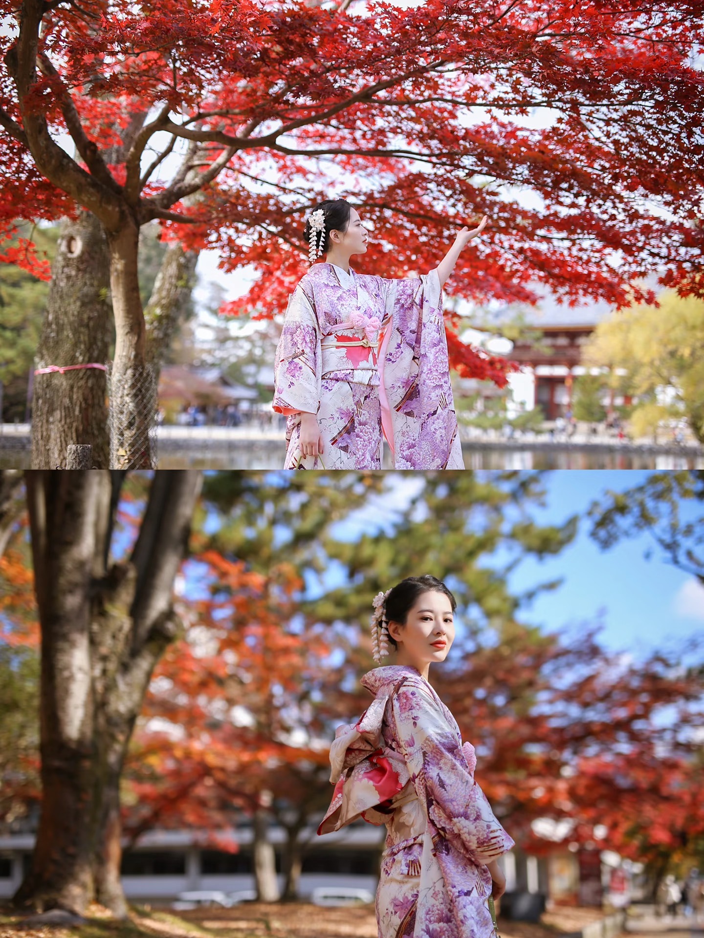 東京の秋の紅葉を背景にした着物ロケーション撮影